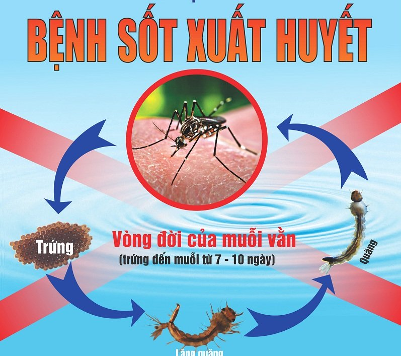 Phòng chống dịch bệnh sốt xuất huyết