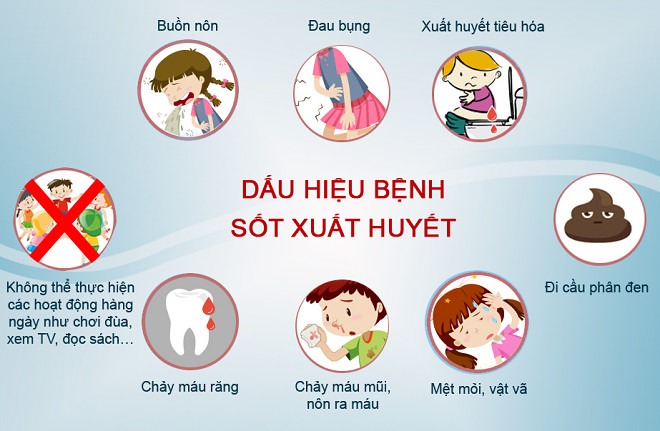 Bài viết tuyên truyền phòng chống bệnh sốt xuất huyết tại nhà